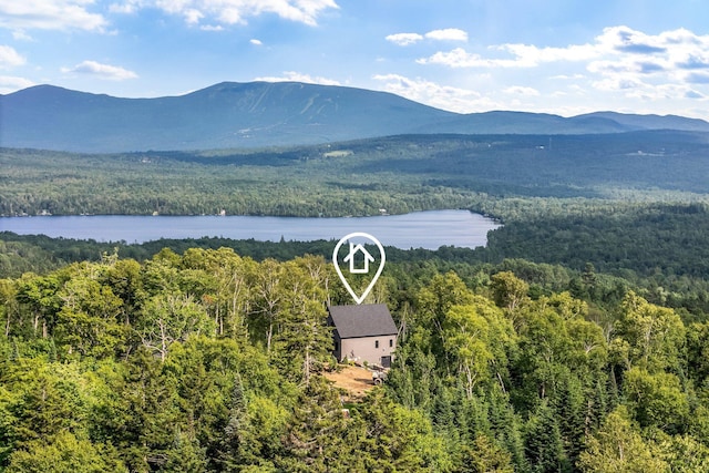 19 Barkies Way, Rangeley, ME 04970 - photo 30