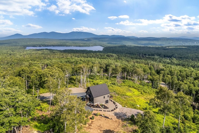 19 Barkies Way, Rangeley, ME 04970 - photo 34