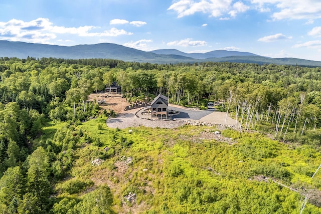 19 Barkies Way, Rangeley, ME 04970 - photo 35