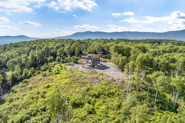19 Barkies Way, Rangeley, ME 04970 - photo 36
