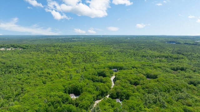 59 Sanderson Rd, Poland, ME 04274 - bird's eye view of a forest