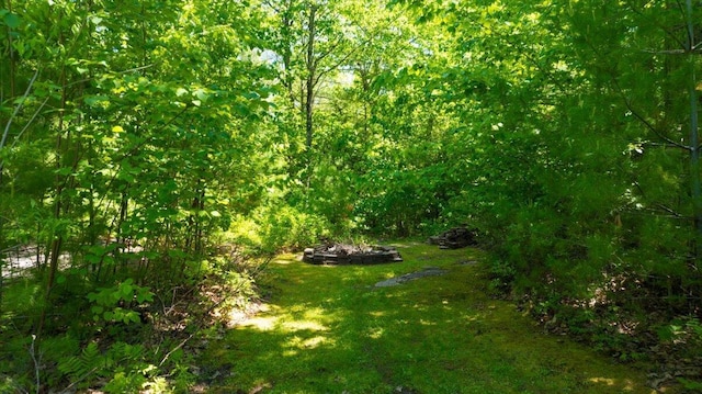 59 Sanderson Rd, Poland, ME 04274 - view of nature