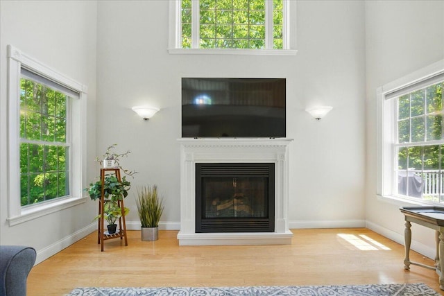 59 Sanderson Rd, Poland, ME 04274 - living area with a high ceiling, wood finished floors, a glass covered fireplace, and baseboards
