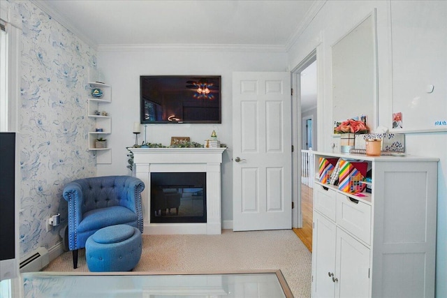 59 Sanderson Rd, Poland, ME 04274 - living area with a glass covered fireplace, crown molding, carpet flooring, baseboards, and a baseboard radiator