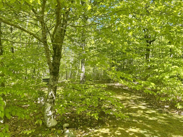 281 Tower Rd, Vienna, ME 04360 - photo 31