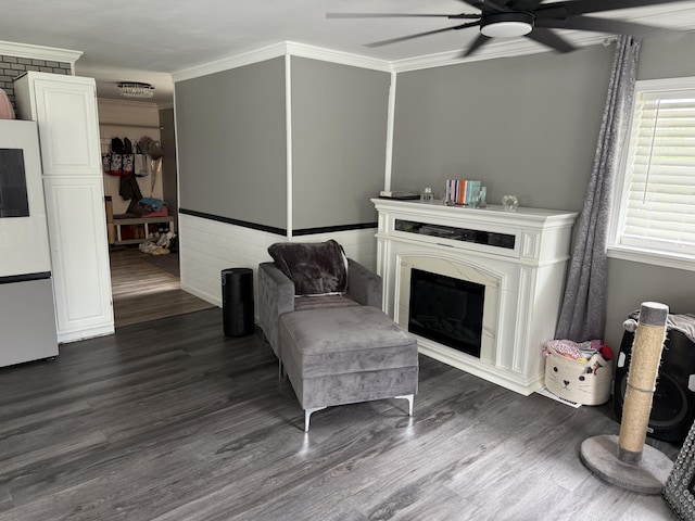29 Elm St, Fairfield, ME 04937 - living area featuring ceiling fan, ornamental molding, dark wood-style floors, and a premium fireplace