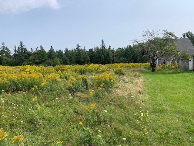 100 Bayside Rd, Ellsworth, ME 04605 - view of wooded area