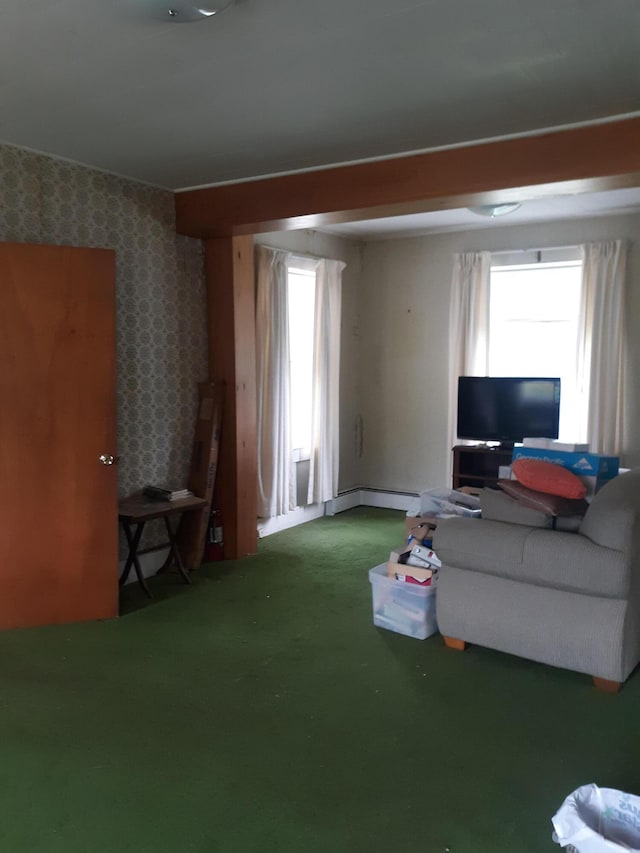 100 Bayside Rd, Ellsworth, ME 04605 - living room featuring carpet, healthy amount of natural light, and baseboard heating