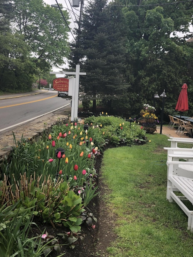 200 Shore Rd, Ogunquit, ME 03907 - view of green lawn