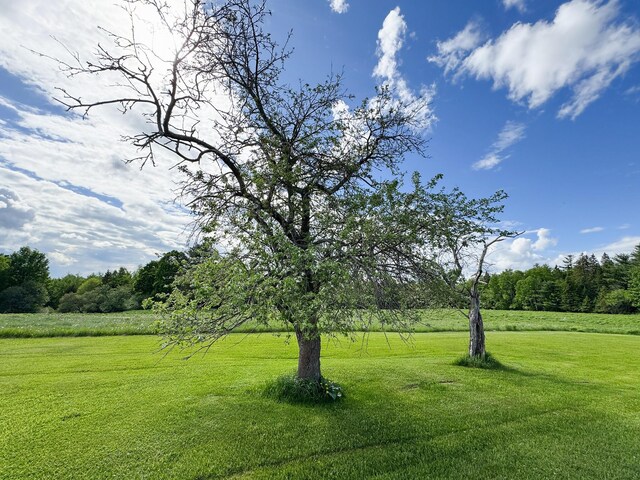 164 Mud Pond Road, Prentiss Twp T7 R3 Nbpp, ME 04487 - view of green lawn