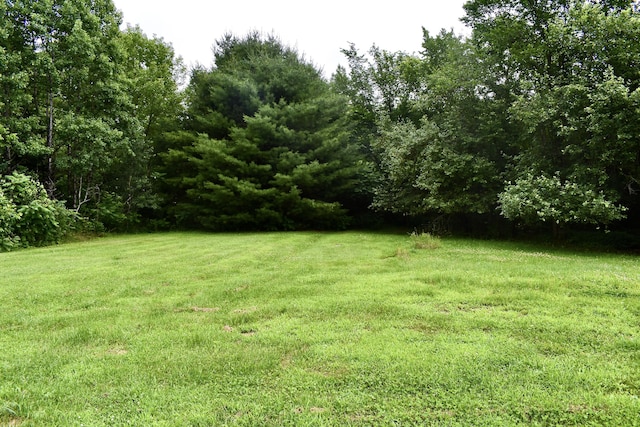10 Rines Rd, Burnham, ME 04922 - view of grassy yard