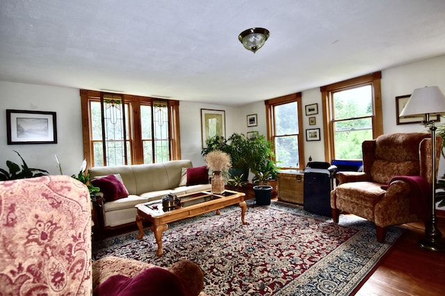 10 Rines Rd, Burnham, ME 04922 - living room featuring wood finished floors
