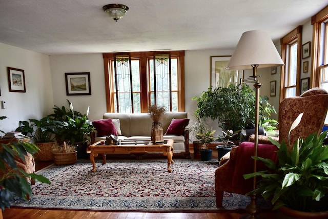 10 Rines Rd, Burnham, ME 04922 - living room featuring plenty of natural light and wood finished floors