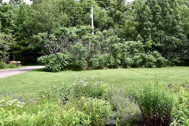 10 Rines Rd, Burnham, ME 04922 - view of green lawn