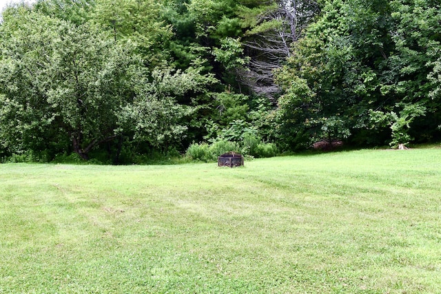 10 Rines Rd, Burnham, ME 04922 - view of grassy yard