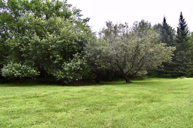 10 Rines Rd, Burnham, ME 04922 - view of grassy yard