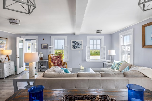 116 Hills Beach Rd, Biddeford, ME 04005 - living room featuring wood finished floors and beam ceiling