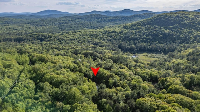739 Spec Pond Rd, Porter, ME 04068 - bird's eye view of a heavily wooded area and a mountainous background