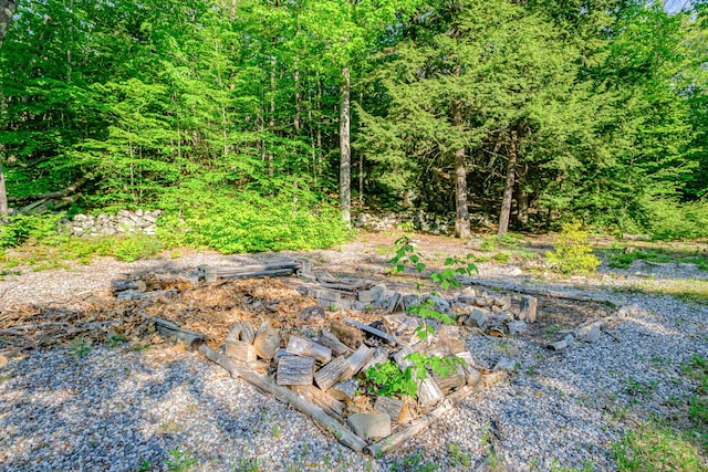 739 Spec Pond Rd, Porter, ME 04068 - view of yard