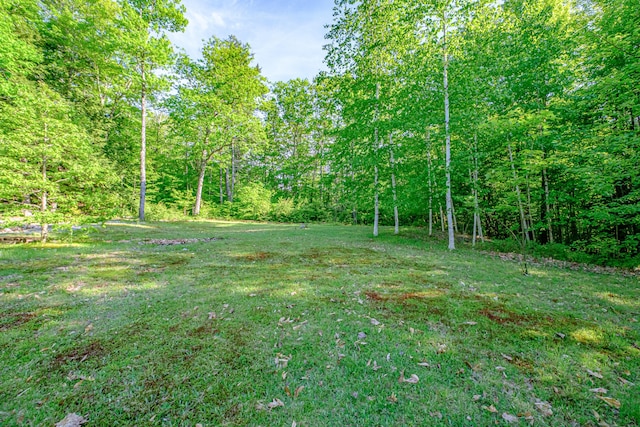 739 Spec Pond Rd, Porter, ME 04068 - view of green lawn with a view of trees