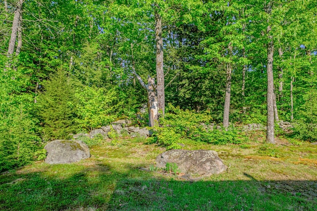 739 Spec Pond Rd, Porter, ME 04068 - view of yard