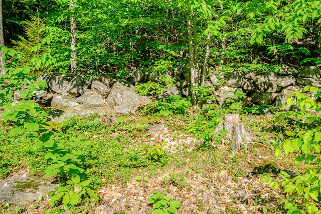 739 Spec Pond Rd, Porter, ME 04068 - view of undeveloped land