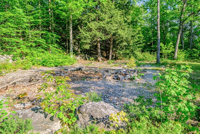 739 Spec Pond Rd, Porter, ME 04068 - view of undeveloped land