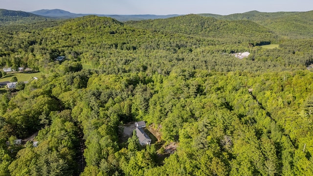 739 Spec Pond Rd, Porter, ME 04068 - aerial overview of property's location with a forest and a mountainous background