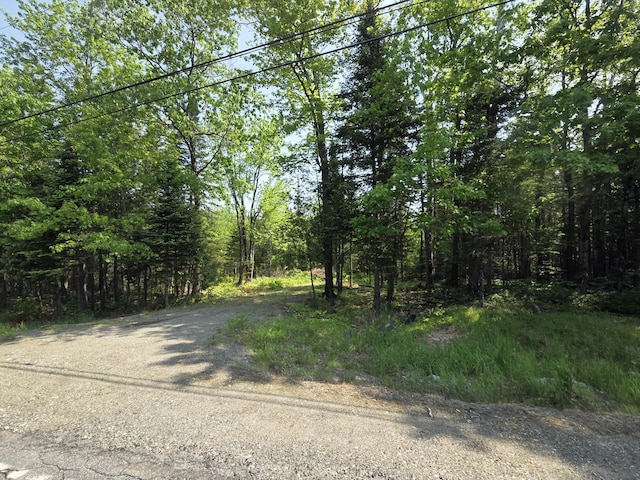 LOT24-TBD New Portland Rd, Embden, ME 04958 - photo 5