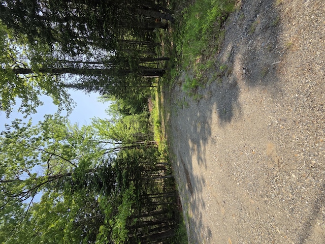 LOT24-TBD New Portland Rd, Embden, ME 04958 - photo 9