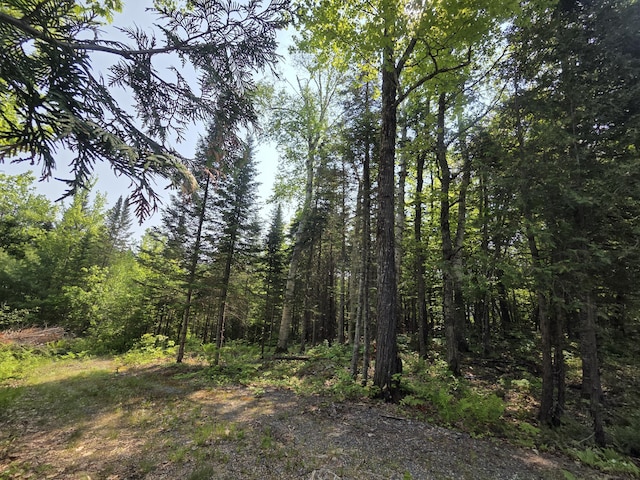 LOT24-TBD New Portland Rd, Embden, ME 04958 - photo 10