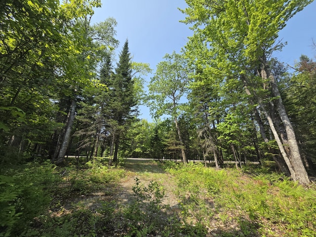 LOT24-TBD New Portland Rd, Embden, ME 04958 - photo 11