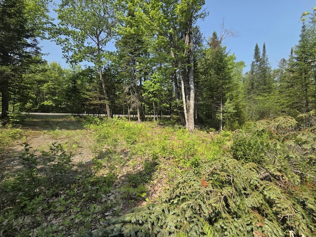 LOT24-TBD New Portland Rd, Embden, ME 04958 - photo 12