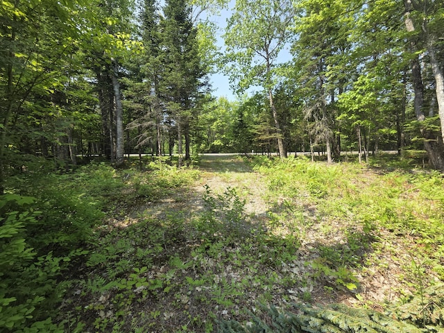 LOT24-TBD New Portland Rd, Embden, ME 04958 - photo 13