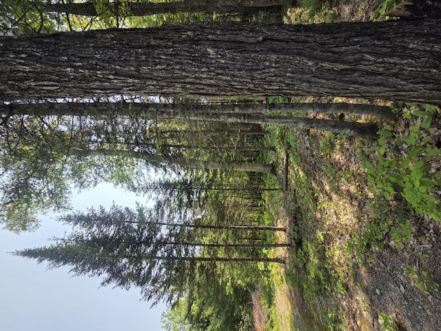 LOT24-TBD New Portland Rd, Embden, ME 04958 - photo 14