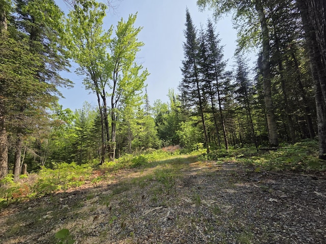 LOT24-TBD New Portland Rd, Embden, ME 04958 - photo 15