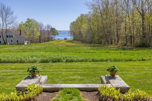 18 Bayside Dr, Belfast, ME 04915 - view of green lawn featuring a water view