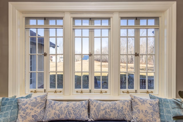 18 Bayside Dr, Belfast, ME 04915 - detailed view of french doors