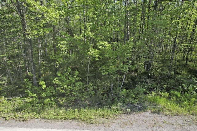 31 Howard Siding Ln, Abbot, ME 04406 - photo 6