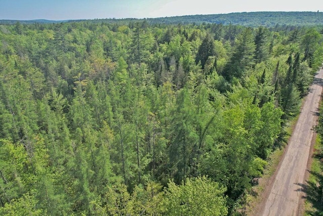 31 Howard Siding Ln, Abbot, ME 04406 - photo 4