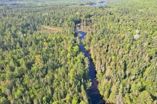 31 Howard Siding Ln, Abbot, ME 04406 - photo 3