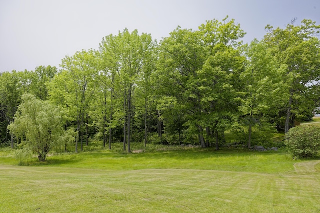 56 Borland Hill Rd, Nobleboro, ME 04555 - view of grassy yard