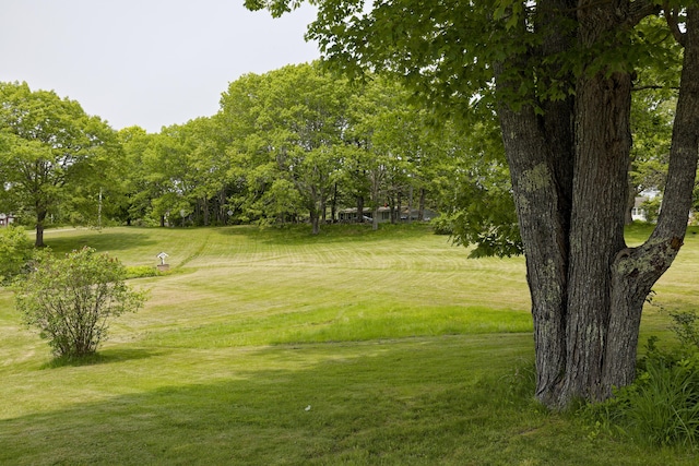 56 Borland Hill Rd, Nobleboro, ME 04555 - view of home's community featuring a yard and view of scattered trees
