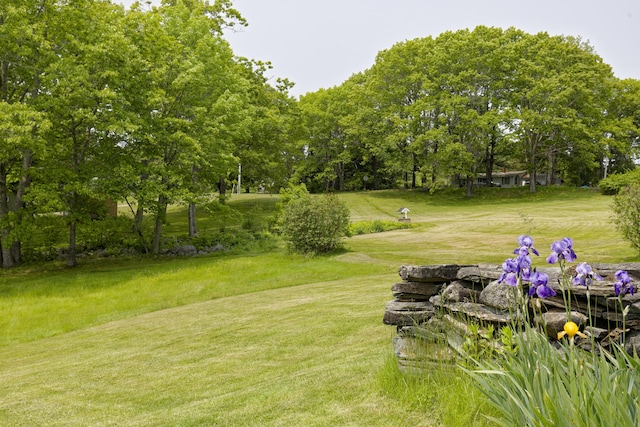 56 Borland Hill Rd, Nobleboro, ME 04555 - view of green lawn featuring view of wooded area