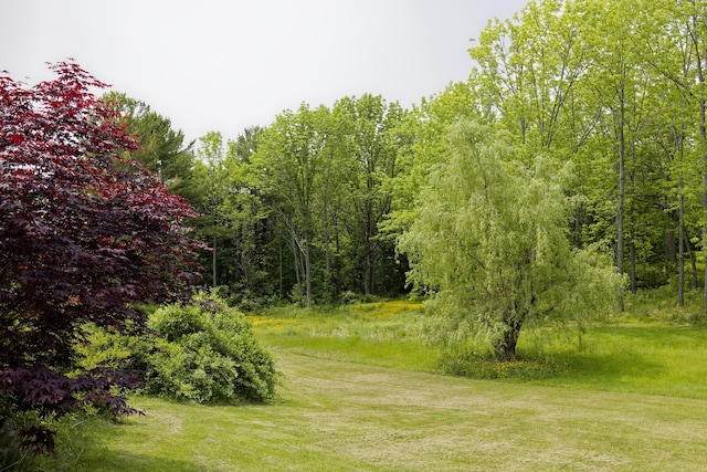 56 Borland Hill Rd, Nobleboro, ME 04555 - view of grassy yard featuring a wooded view