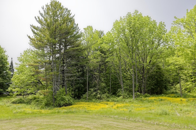 56 Borland Hill Rd, Nobleboro, ME 04555 - view of nature