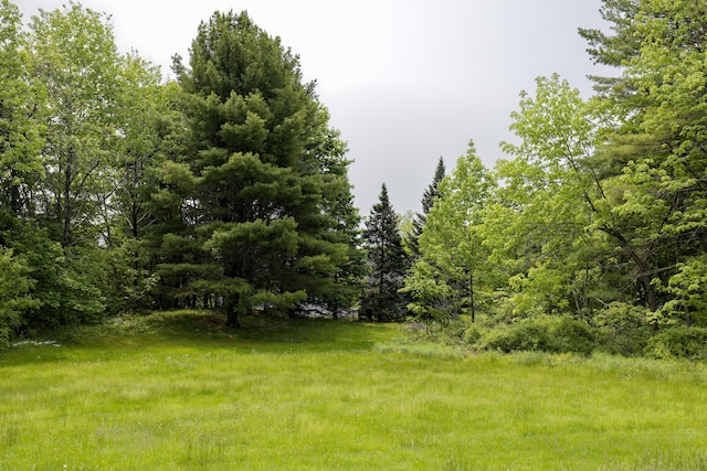 56 Borland Hill Rd, Nobleboro, ME 04555 - view of yard with a view of trees