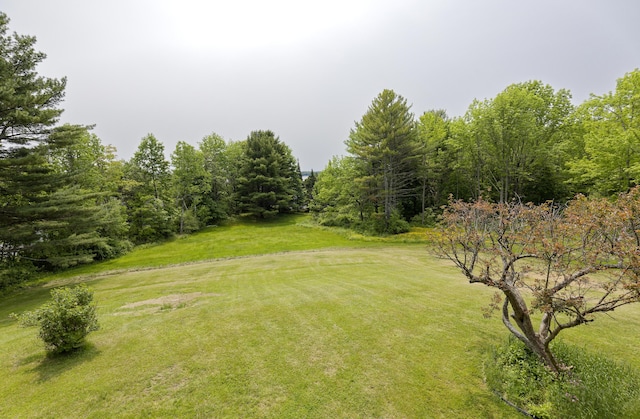 56 Borland Hill Rd, Nobleboro, ME 04555 - view of grassy yard