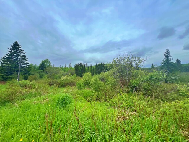 840 N Perley Brook Rd, Fort Kent, ME 04743 - photo 2
