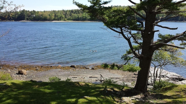 1008 Surry Rd, Surry, ME 04684 - photo 56